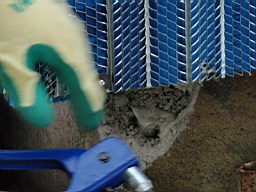 carrowcrory studio-3946.JPG